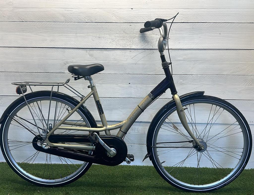 BATAVUS picture