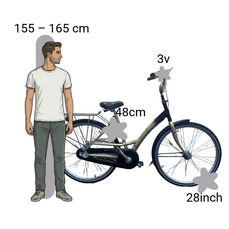 Bicicletta usata Batavus Twister 2/4