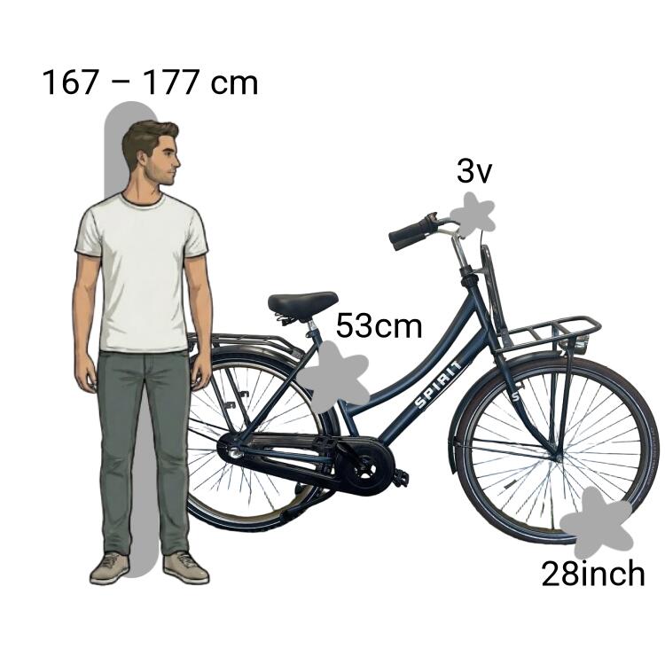 Bicicletta usata Spirit Mona 2/4