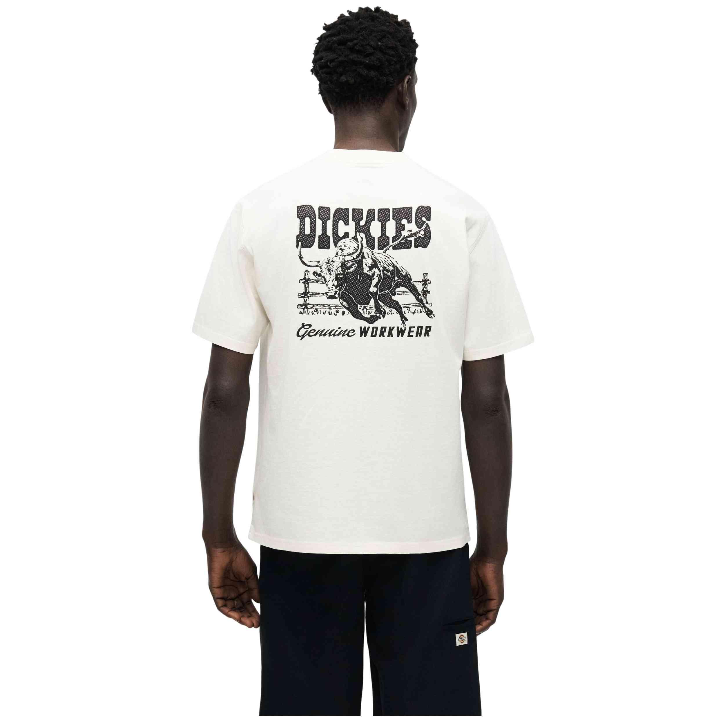 Maglia a maniche corte Dickies modello DK0A883BC481 per uomini 4/4
