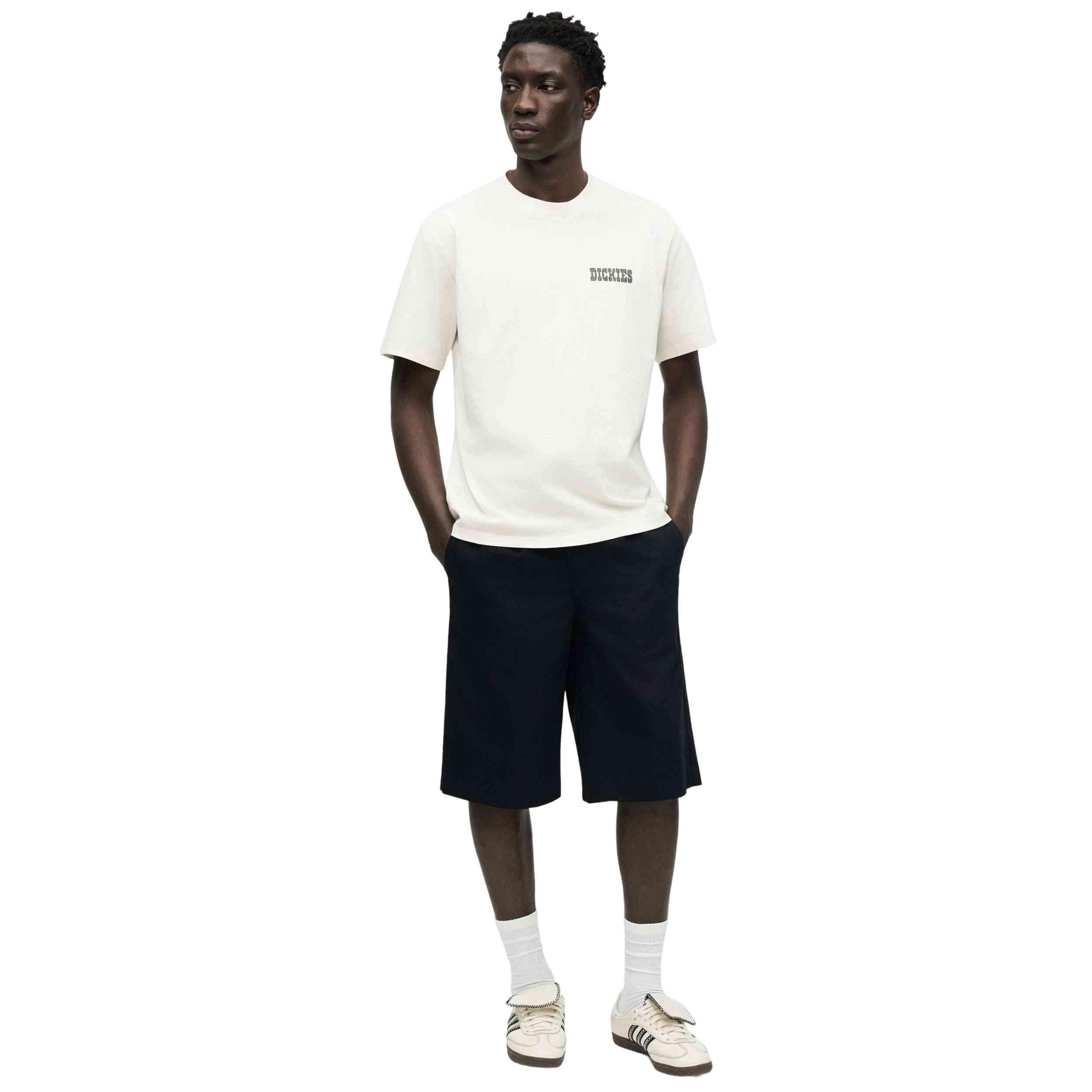 Maglia a maniche corte Dickies modello DK0A883BC481 per uomini 3/4