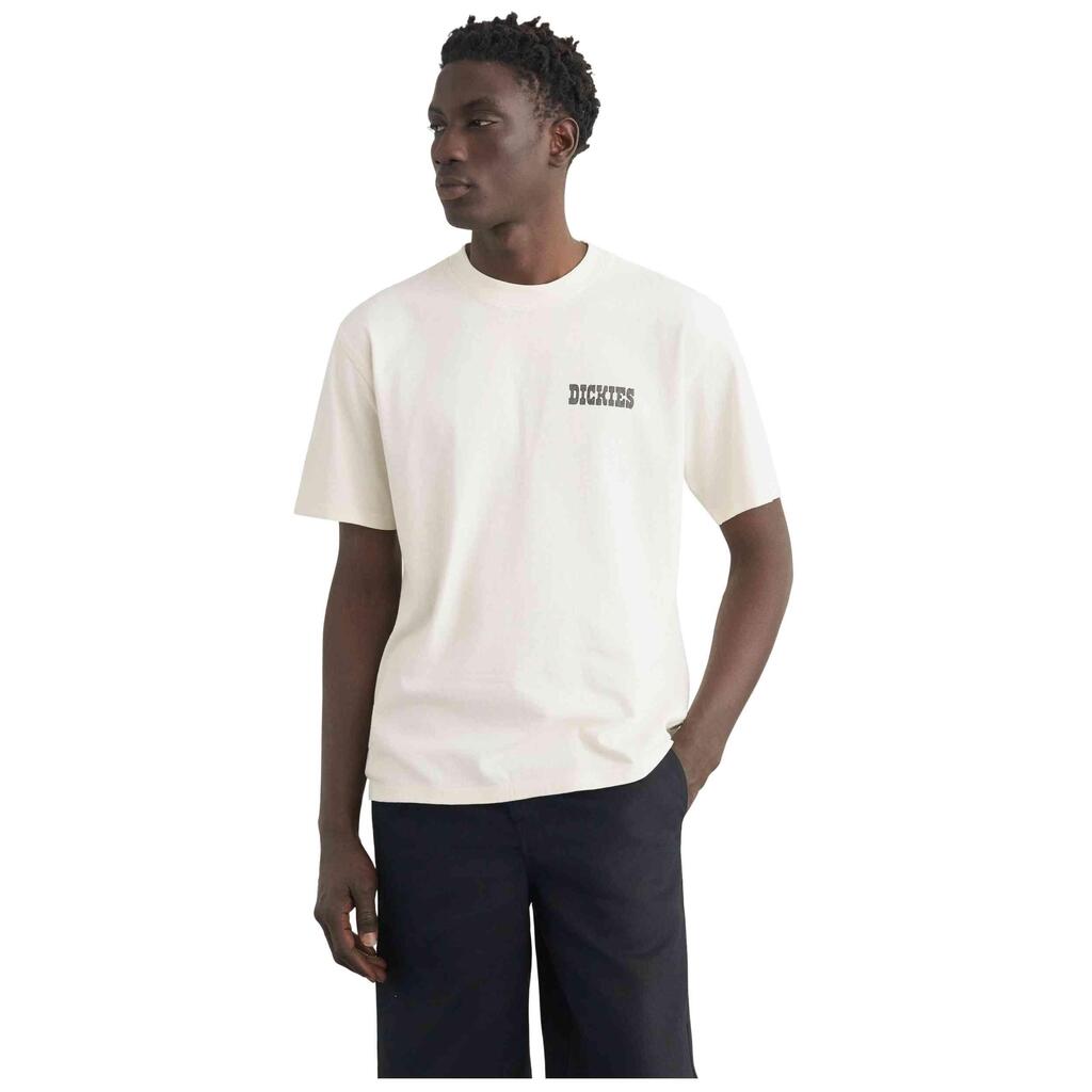 T-shirt Dickies model DK0A883BC481 for man