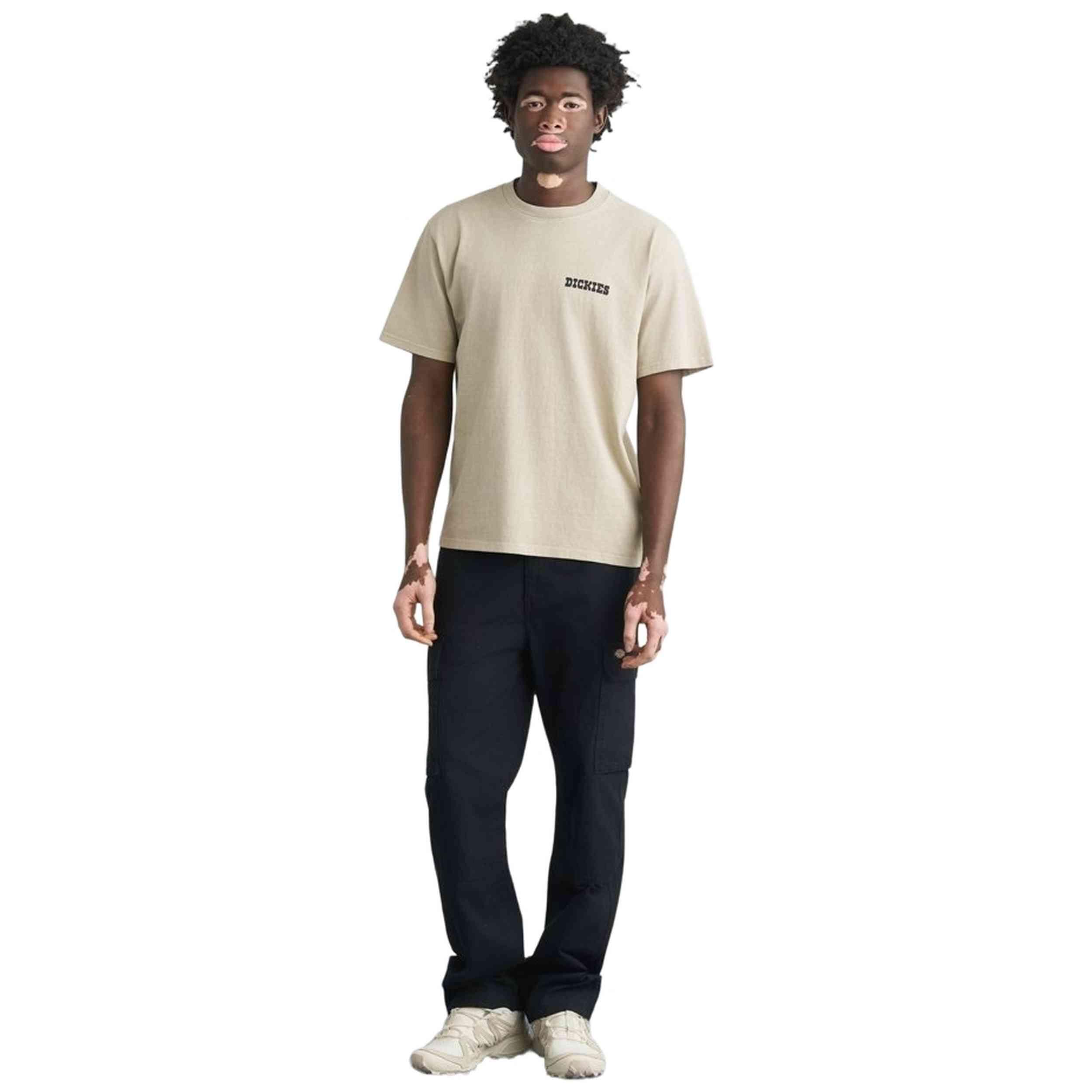 T-shirt met korte mouwen Dickies model Darrtown voor mannen 2/4