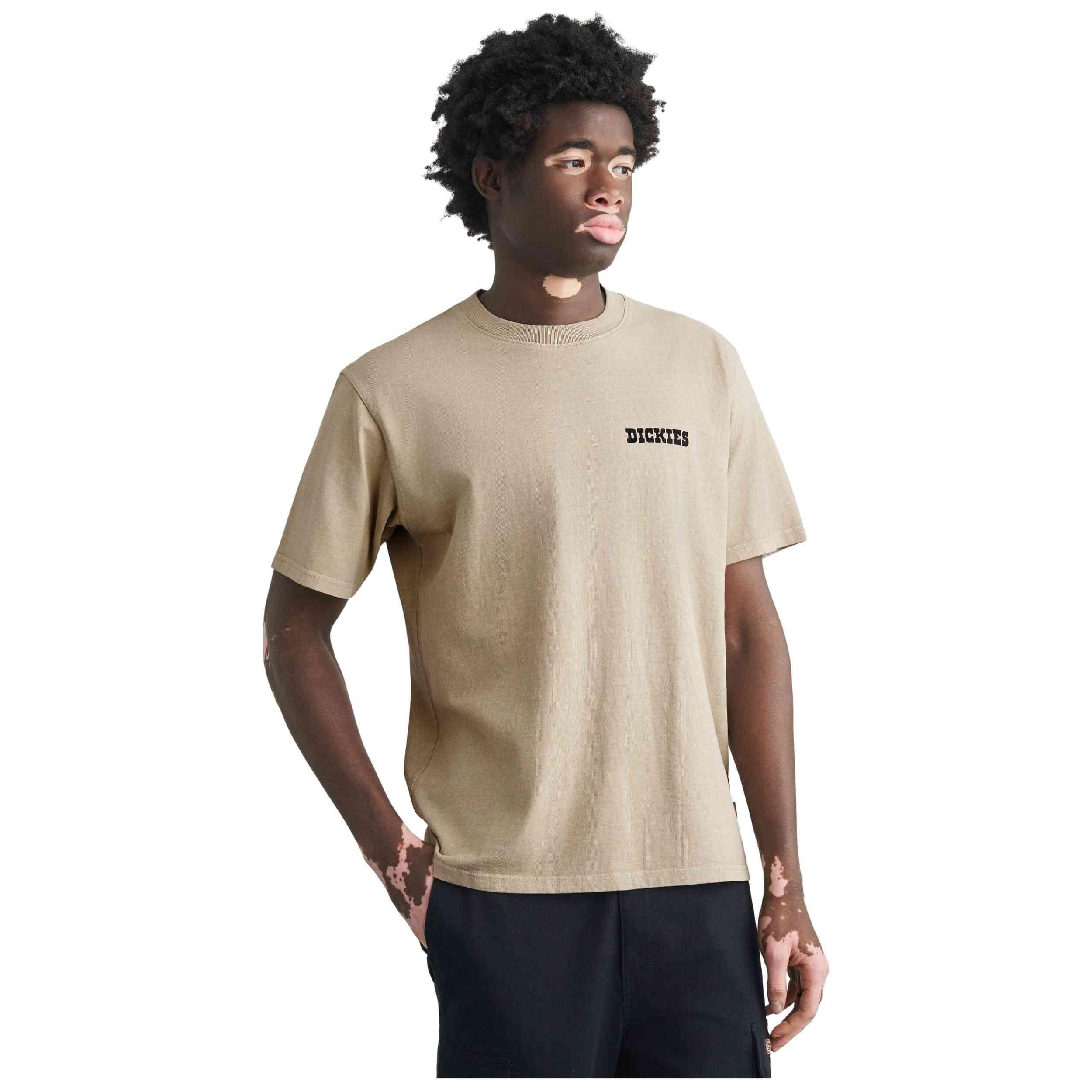 T-shirt met korte mouwen Dickies model Darrtown voor mannen 4/4