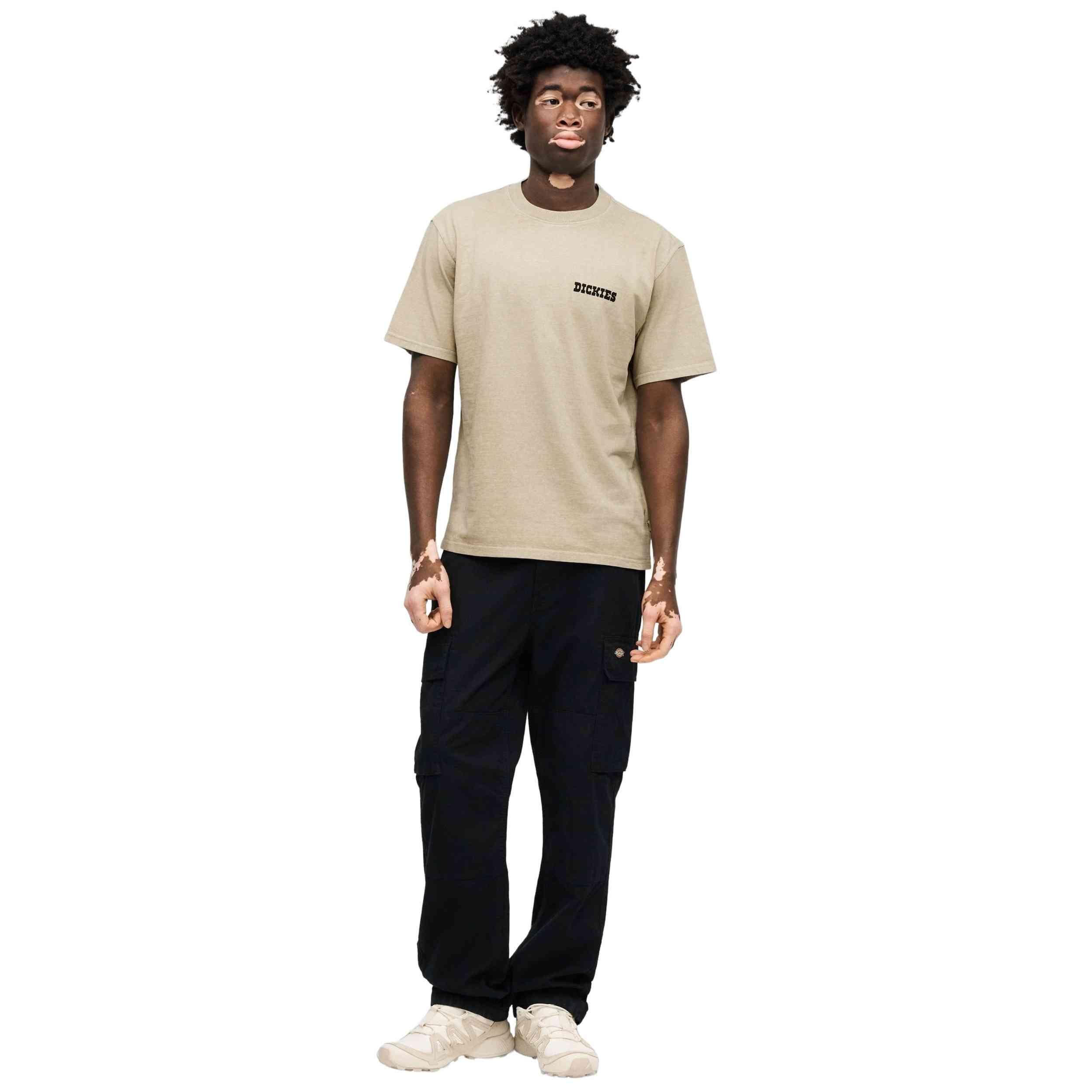 T-shirt met korte mouwen Dickies model Darrtown voor mannen 3/4