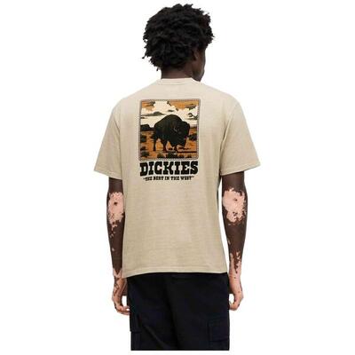 T-shirt met korte mouwen dickies model darrtown voor mannen