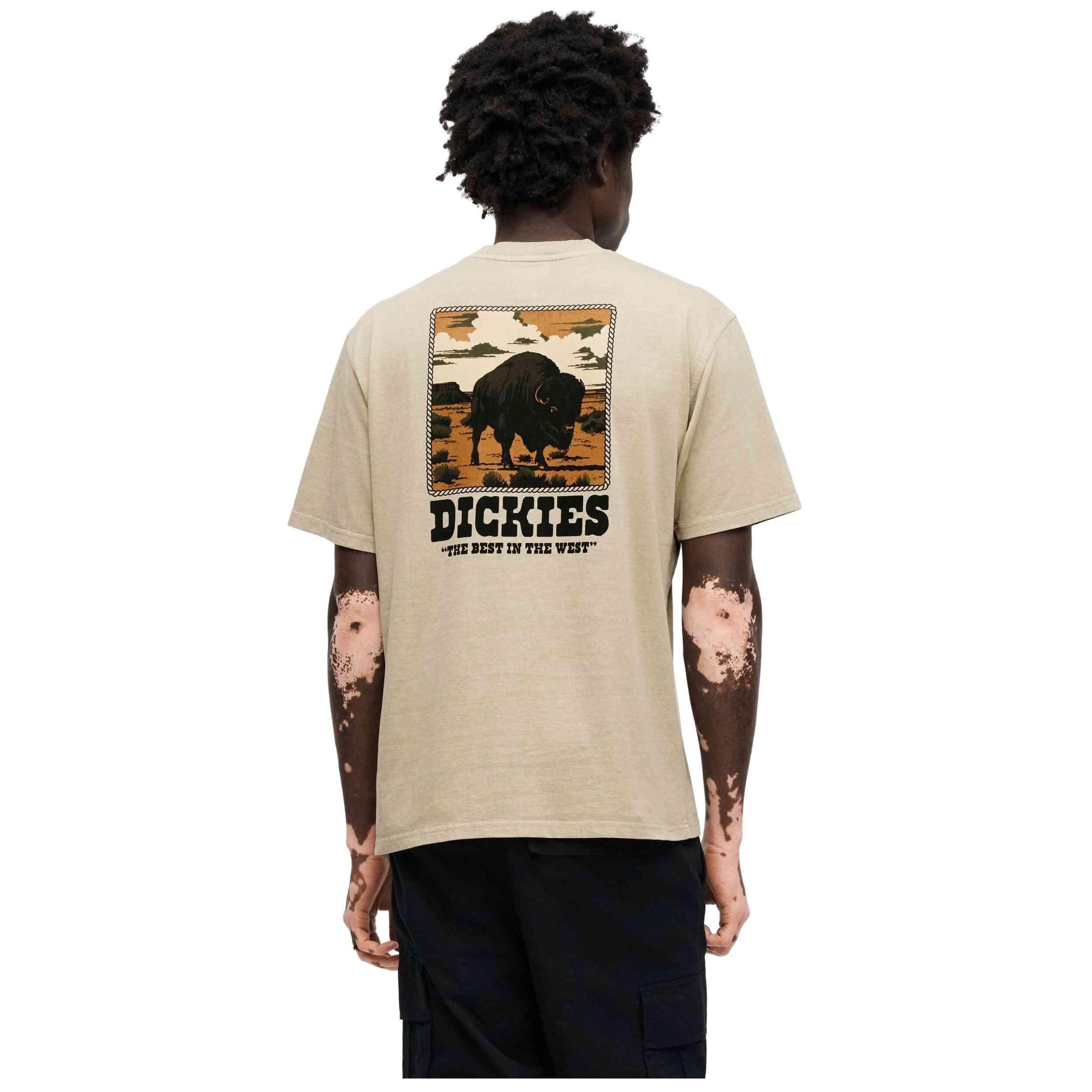 DICKIES picture