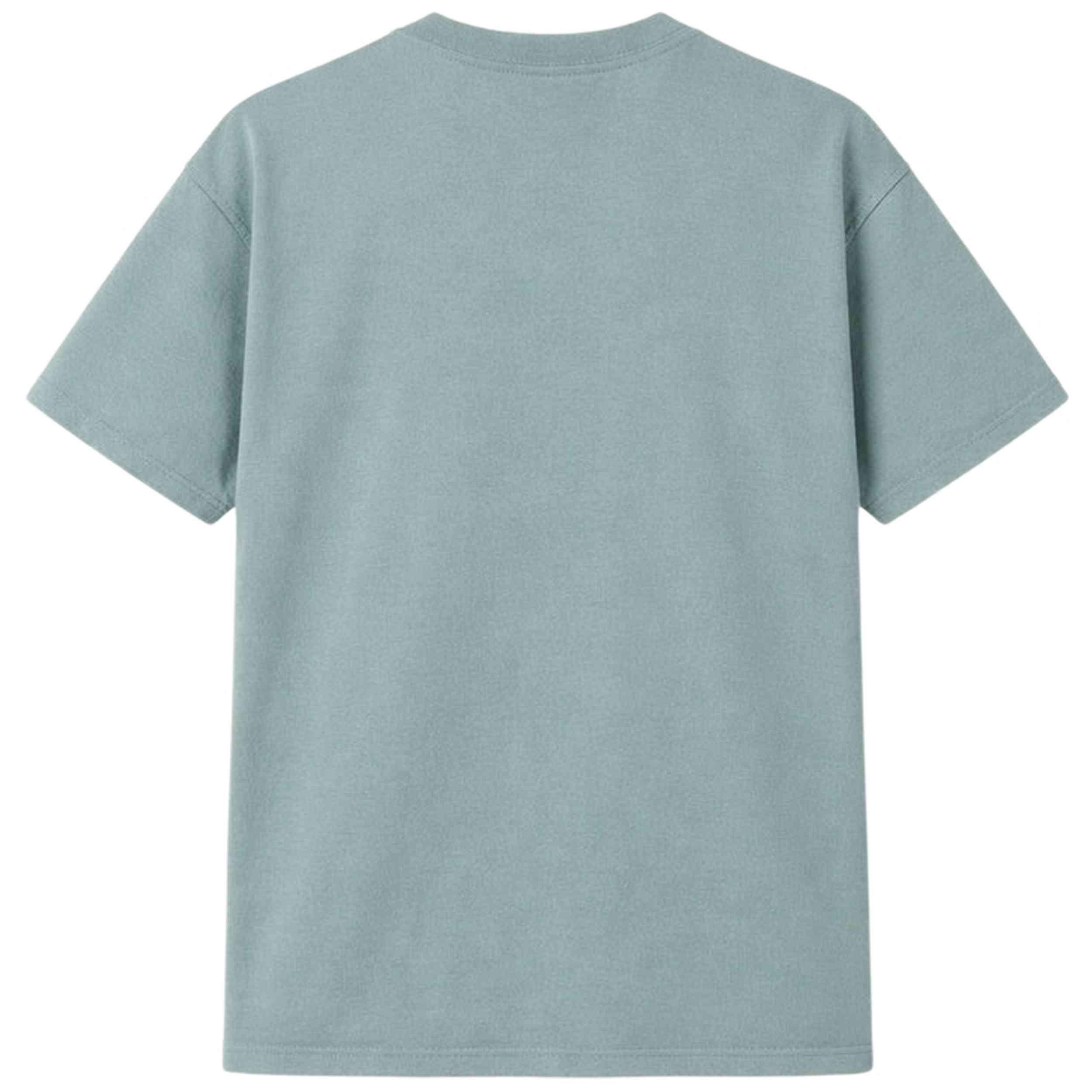 T-shirt met korte mouwen Dickies model Plainville voor mannen 3/3