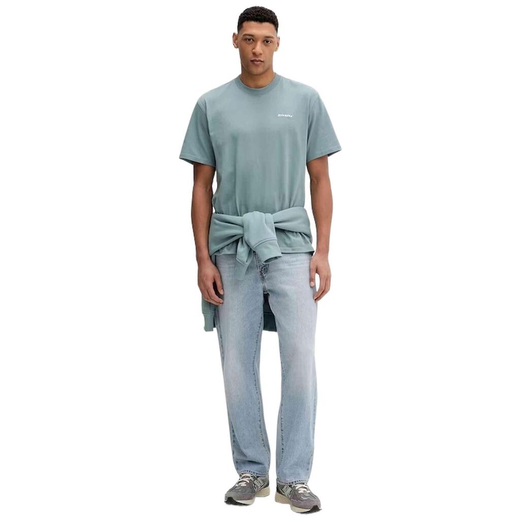 T-shirt Dickies model Loretto Tee for man
