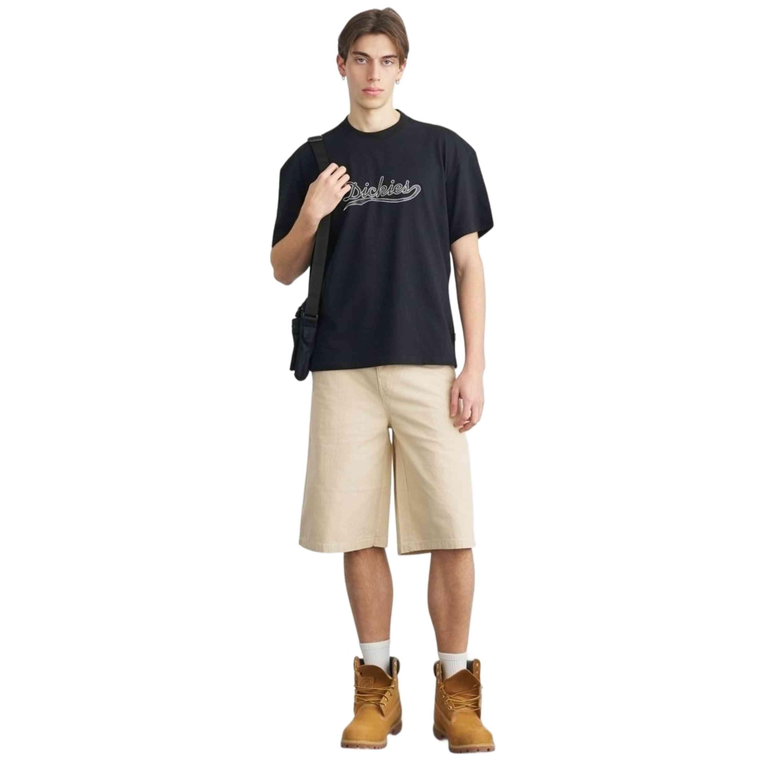 T-shirt met korte mouwen Dickies model Loose Wave voor mannen 2/4