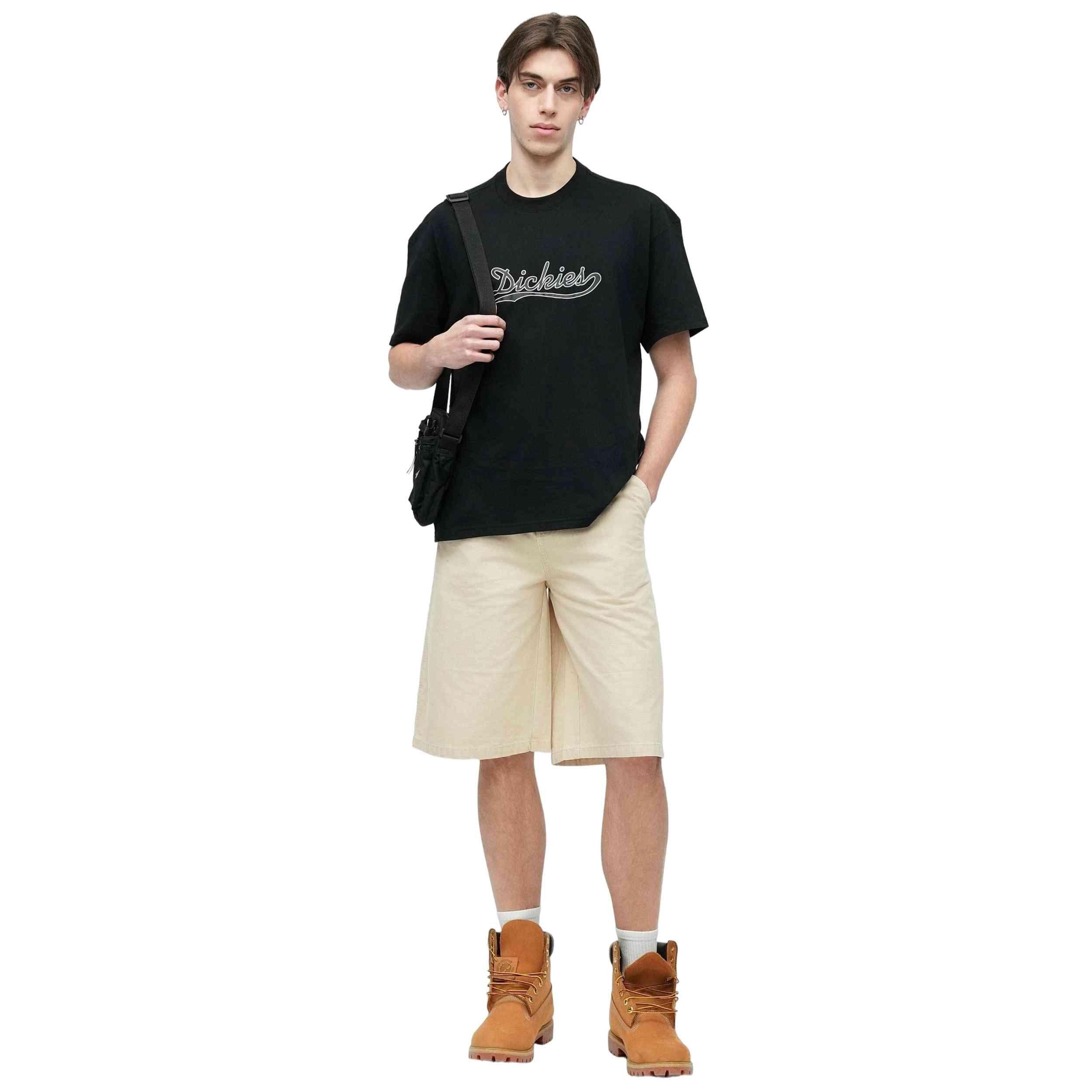 T-shirt met korte mouwen Dickies model Loose Wave voor mannen 3/4