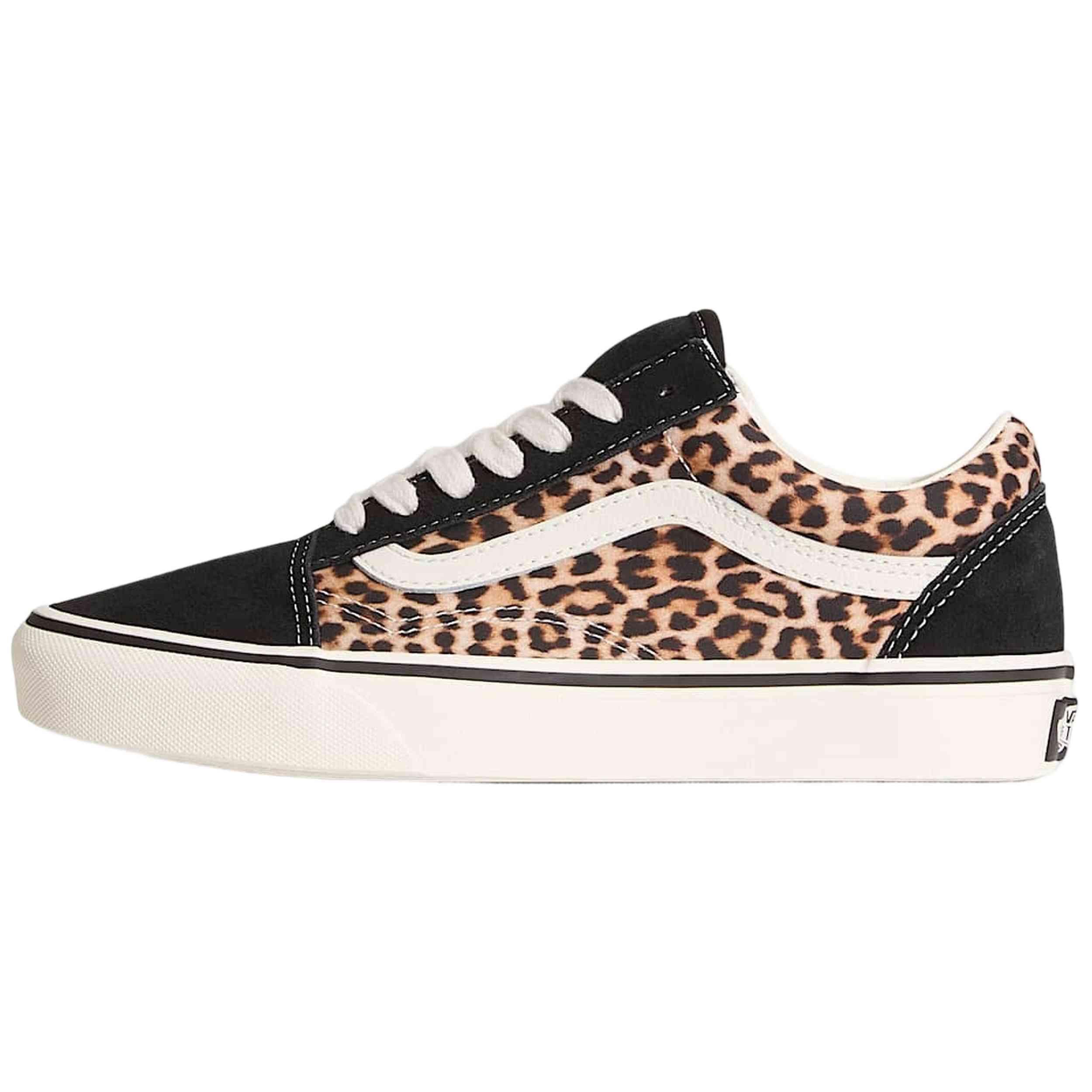 VANS picture