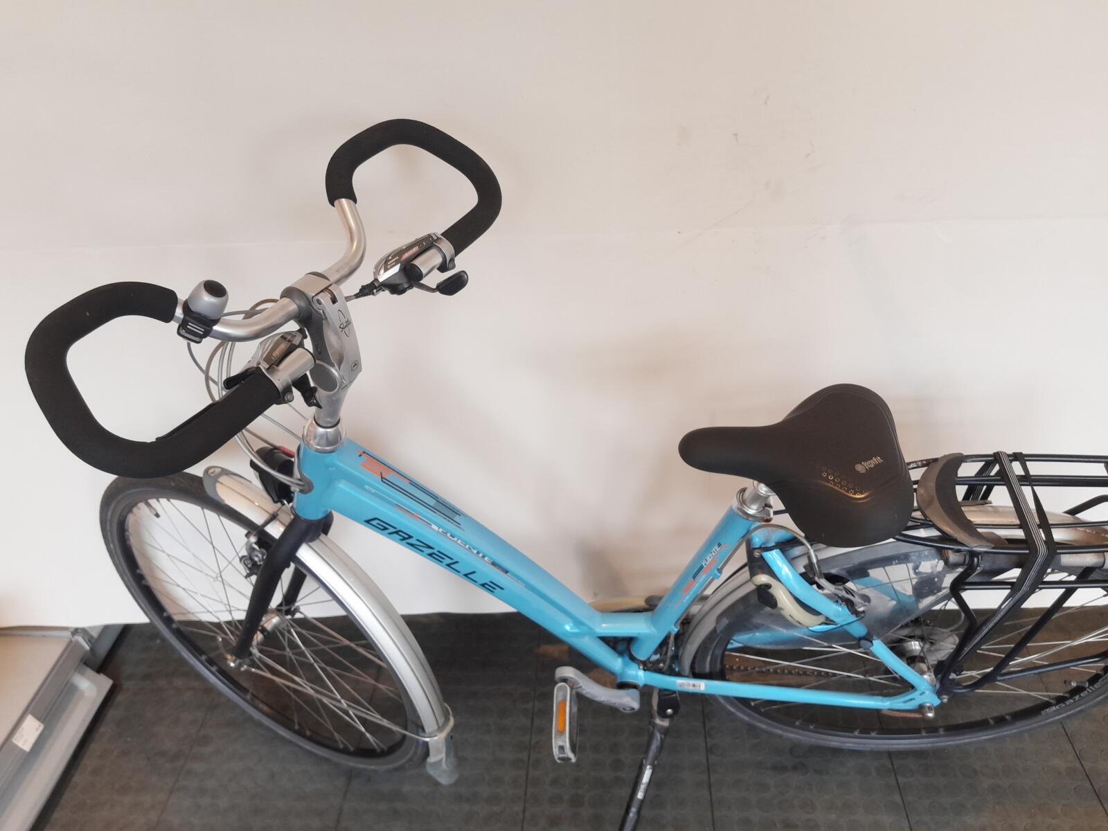 Gazelle Fuente, blauw 6/7
