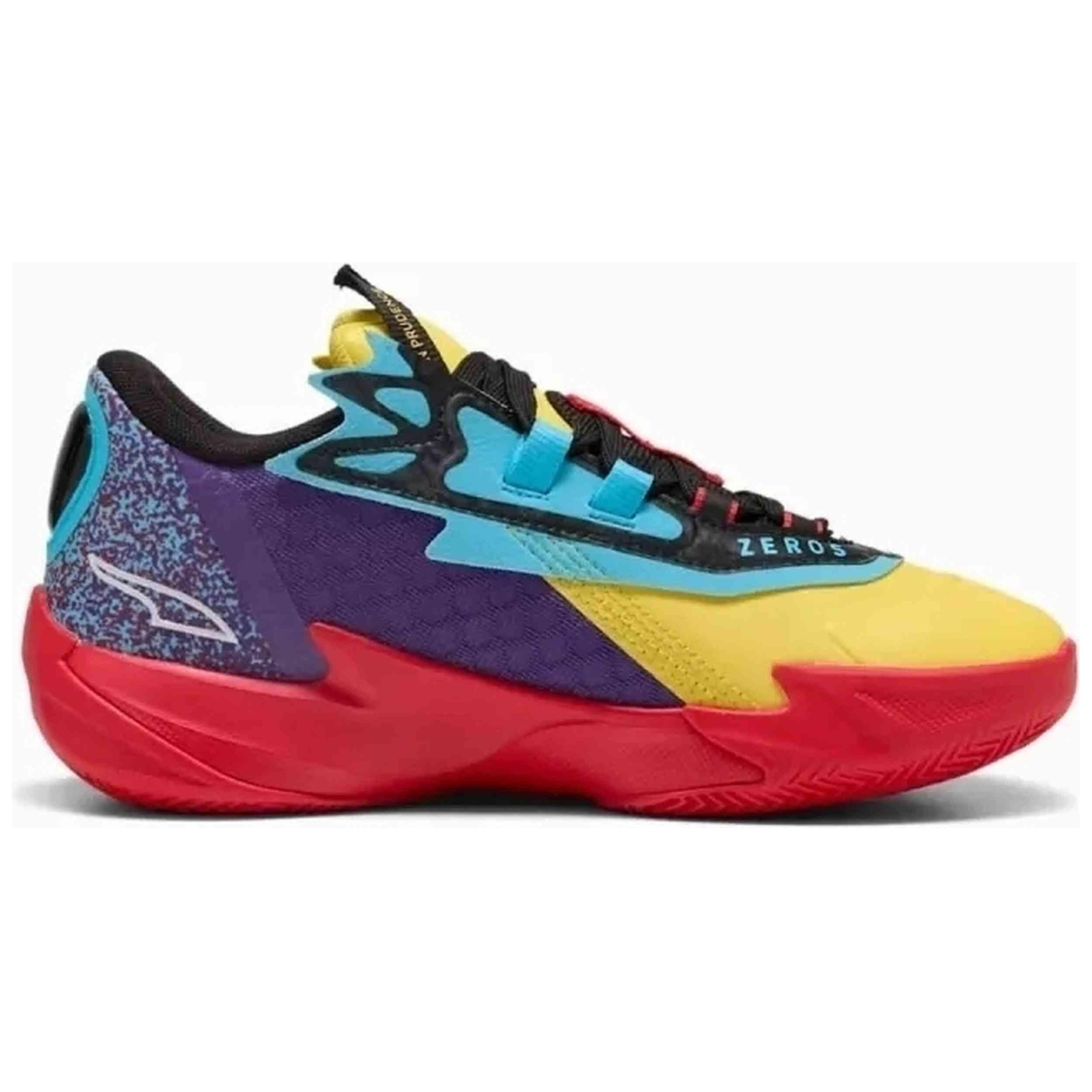 PUMA picture