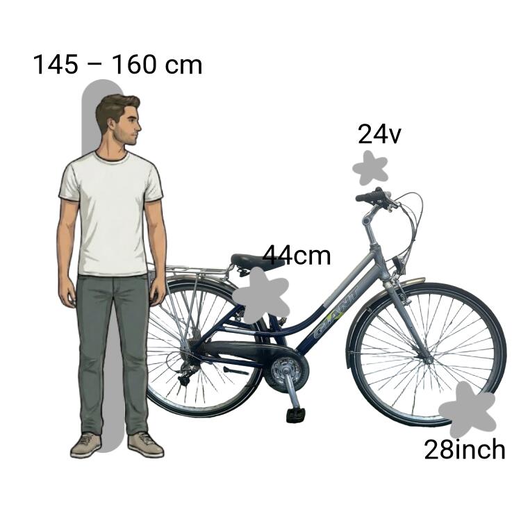Bicicletta usata Giant Freerider 2/4
