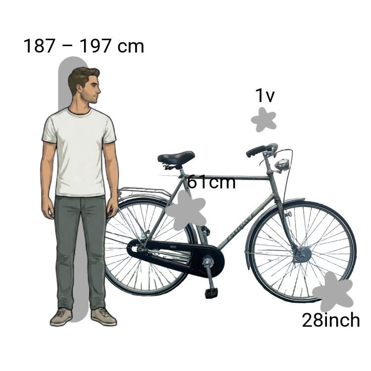 Bicicletta usata Gazelle 2/4