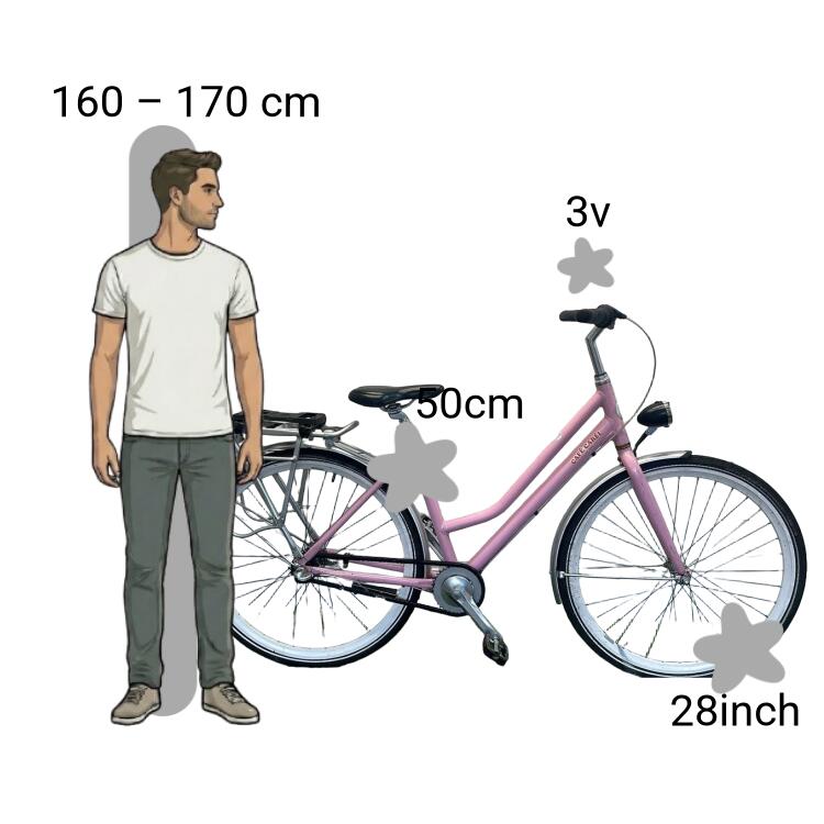 Bicicletta usata Cortina Azero 2/4