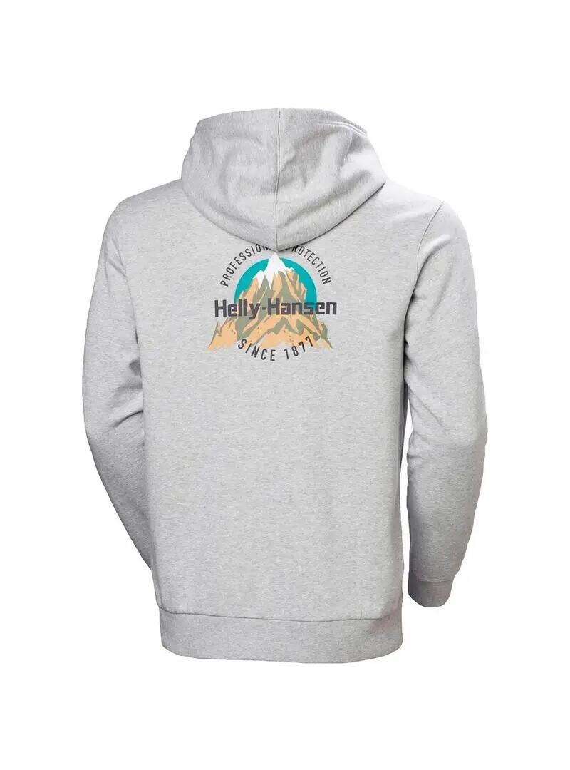 Sudaderas jerseys polares para Hombre Helly hansen Core graphic Gris 2/6
