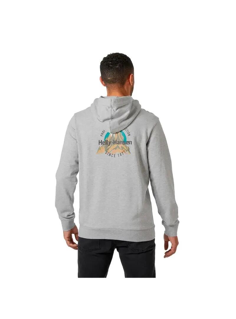 Sudaderas jerseys polares para Hombre Helly hansen Core graphic Gris 4/6