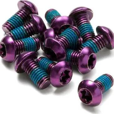 Reverse Disc Rotor Bolt Steel M5 x 10mm Purple