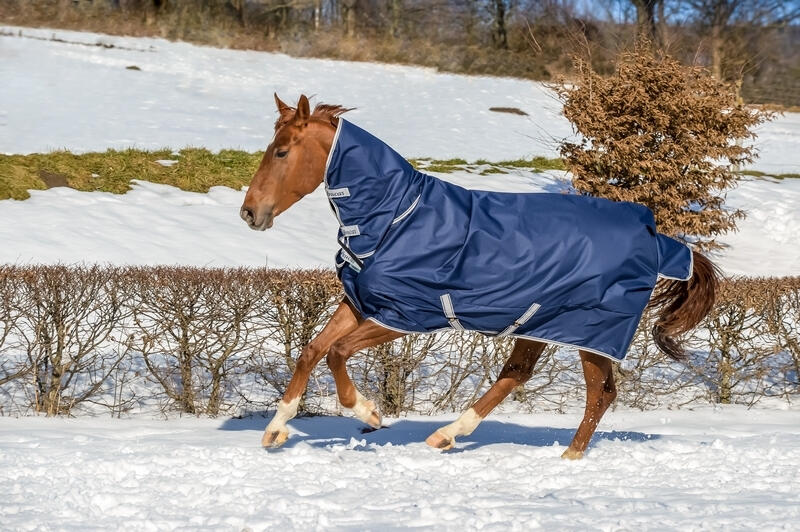 Couverture d'extérieur pour cheval Bucas Freedoom Light 3/4