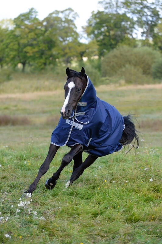 Couverture d'extérieur pour cheval Bucas Freedoom Light 2/4