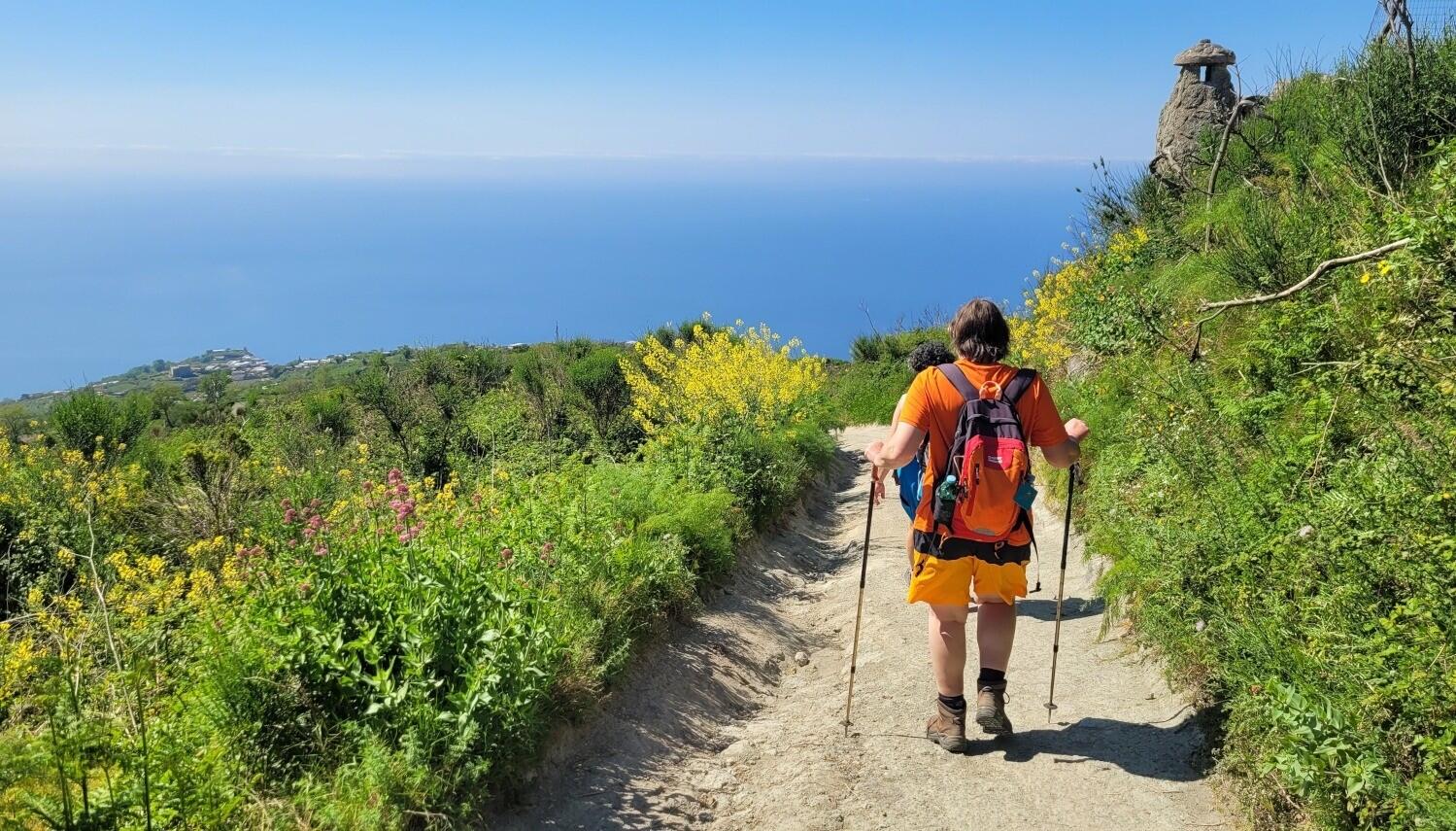 DECATHLON TRAVEL picture