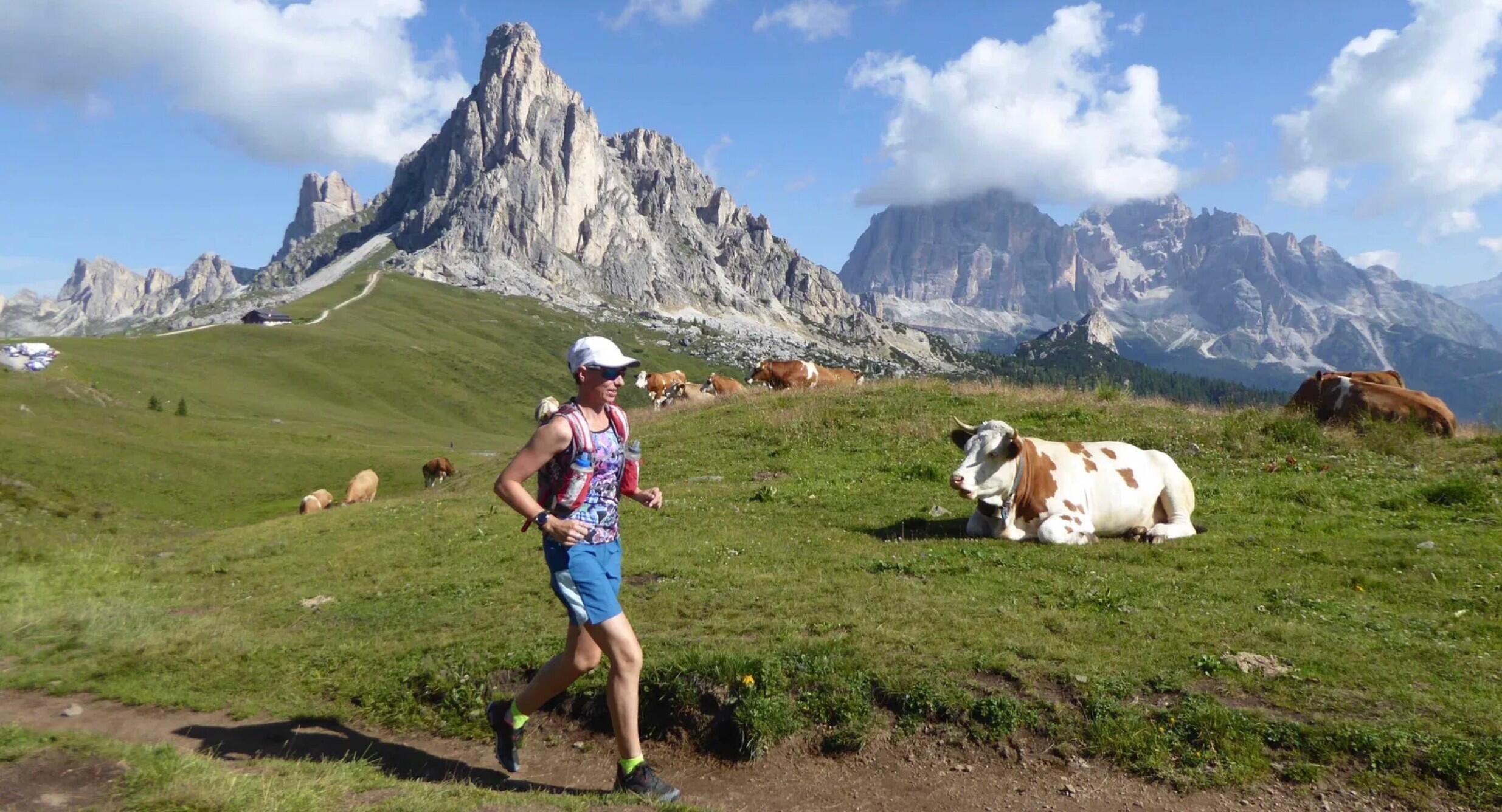 DECATHLON TRAVEL picture