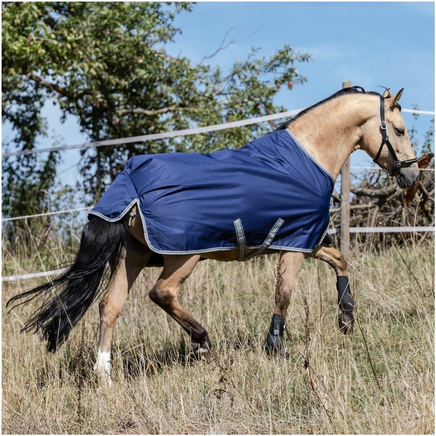 Couverture d'extérieur pour cheval Bucas Freedom Turnout Light 2/4