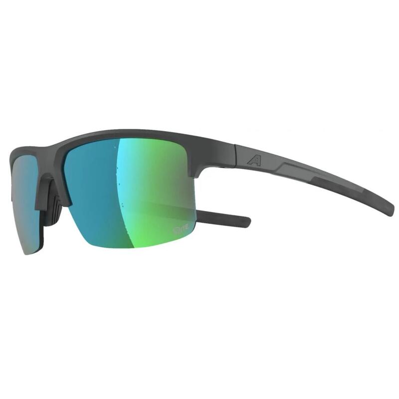 Ochelari de soare Alpina Eagle Q-Lite