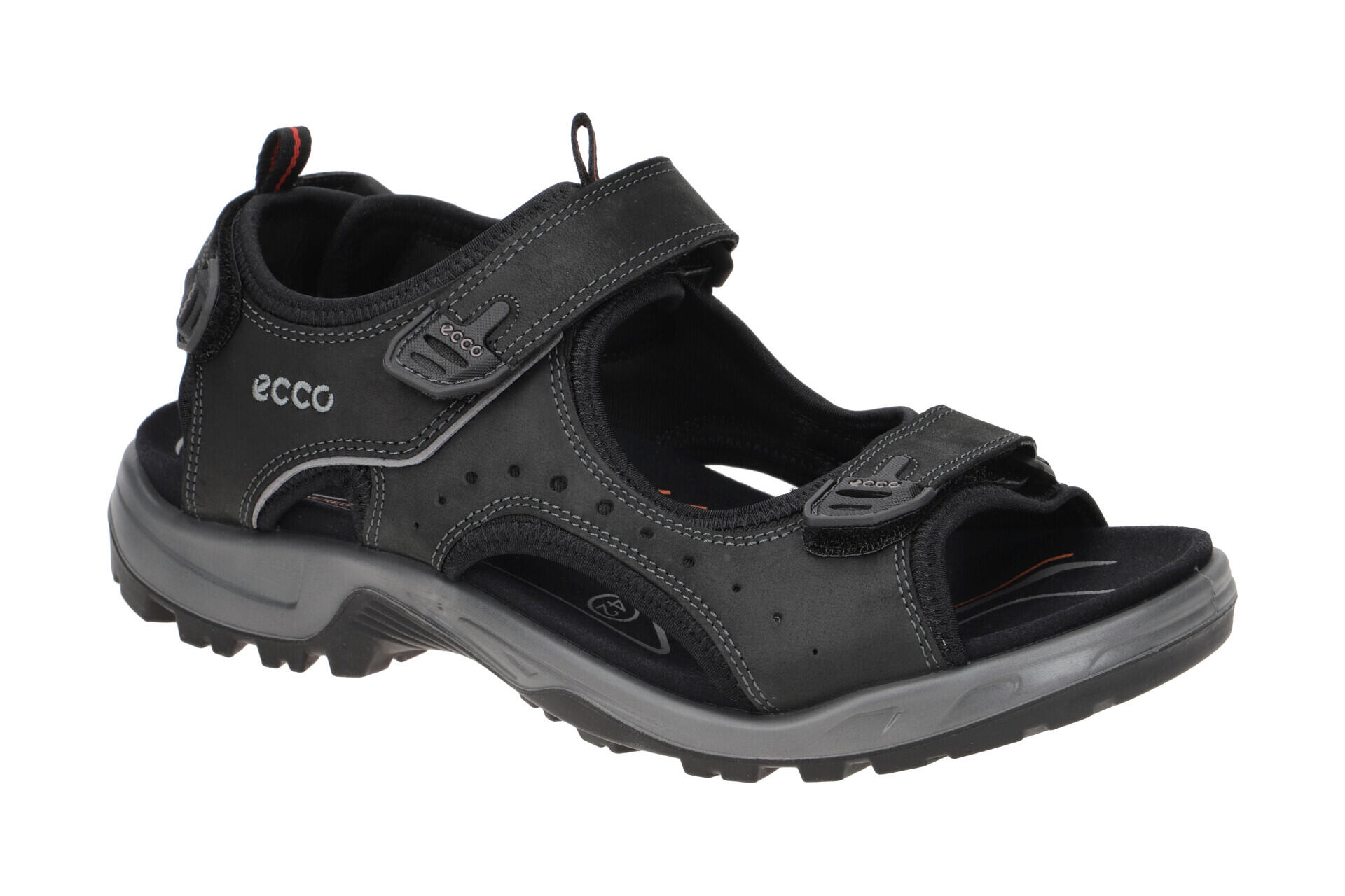 ECCO picture