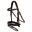 Bridă BR Equitation Middleton cu ajustare anatomică