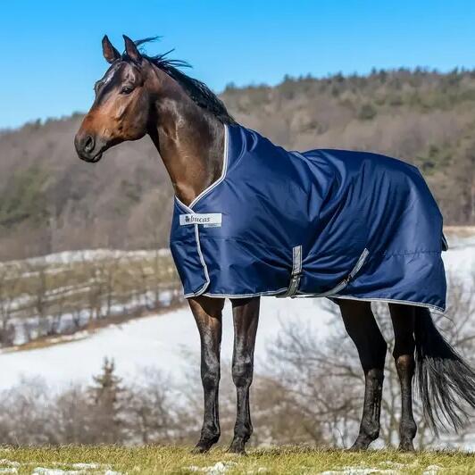 Weatherproof outdoor horse rug with high neck Bucas Freedom Turnout 150g