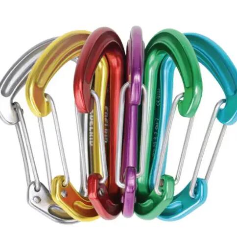 Karabiner Set Nineteen G by Edelrid