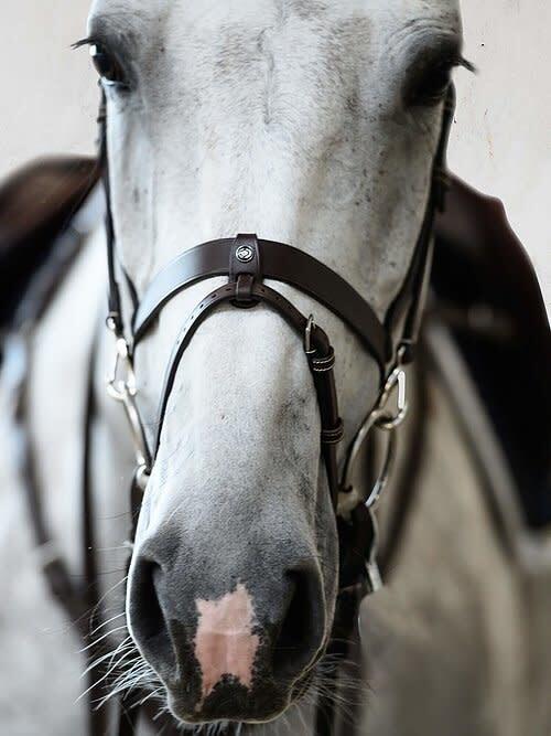 Bridle London 2/3