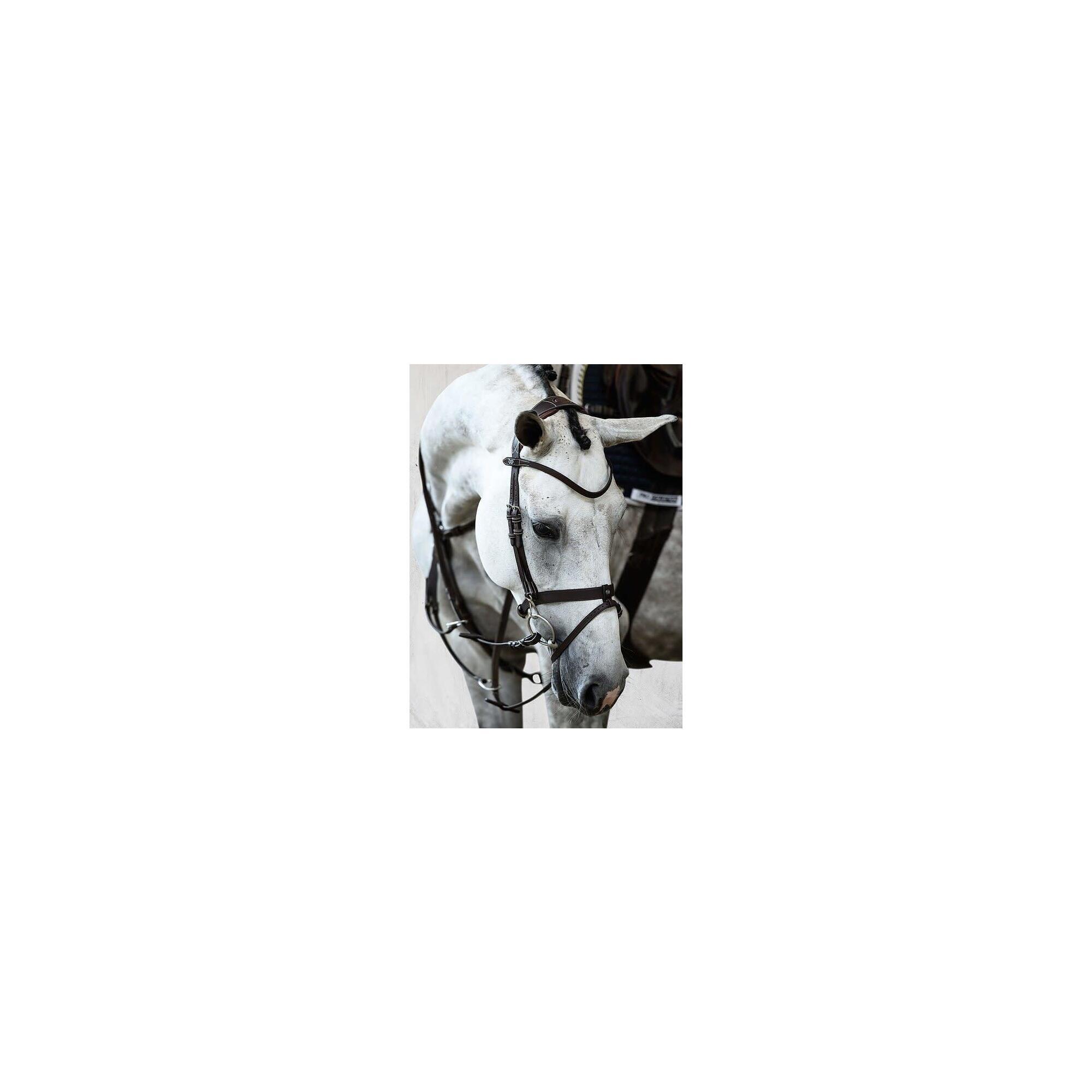 f0628091-8cfa-4404-952f-0bd29ff7220a_c27