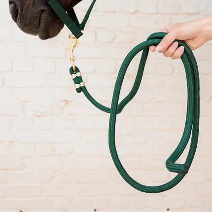Longe Reiten Kentucky Horsewear Basic