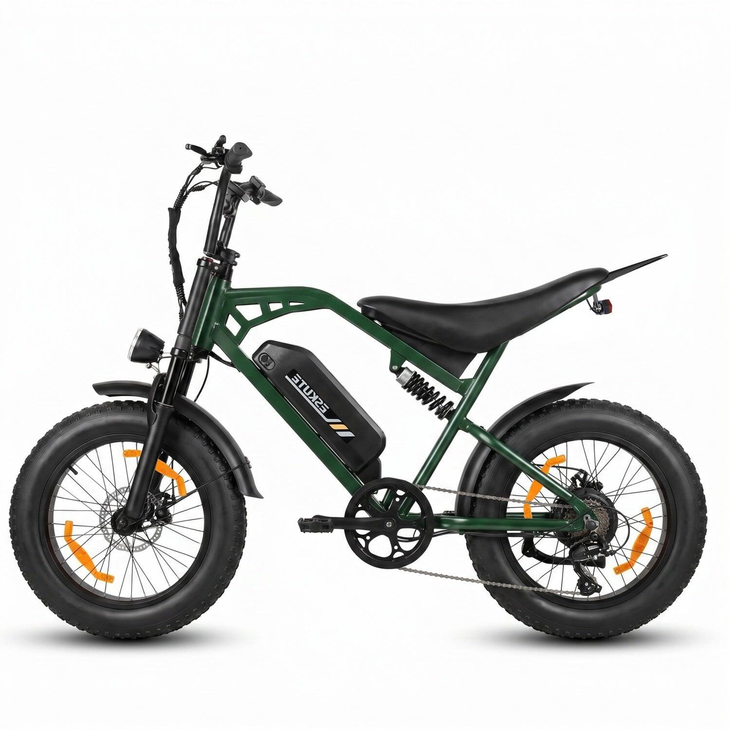 Elektrische Motorfiets ESKUTE V202 250W 48V20.8Ah 20" Accessoires Groen 4/5