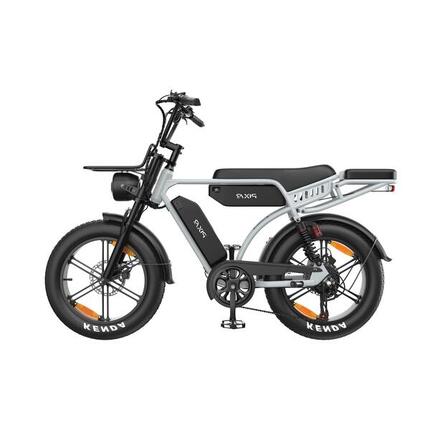 Pixar M9 E-bike 250W 48V17.5Ah+17.5Ah 20" Hydraulische Schijfremmen Grijs