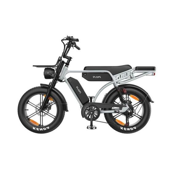 Pixar M9 E-bike 250W 48V17.5Ah+17.5Ah 20" Hydraulische Schijfremmen Grijs