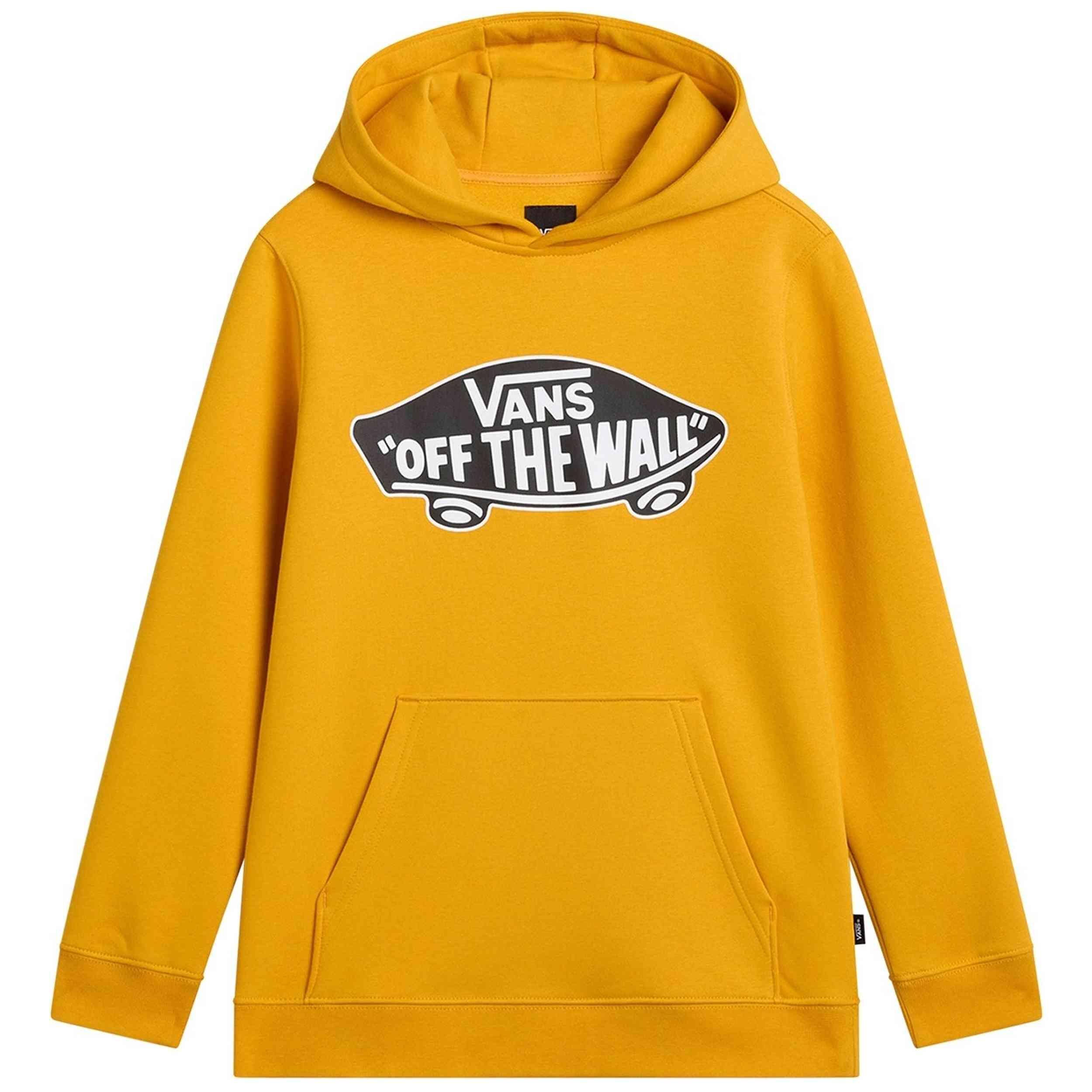 VANS picture