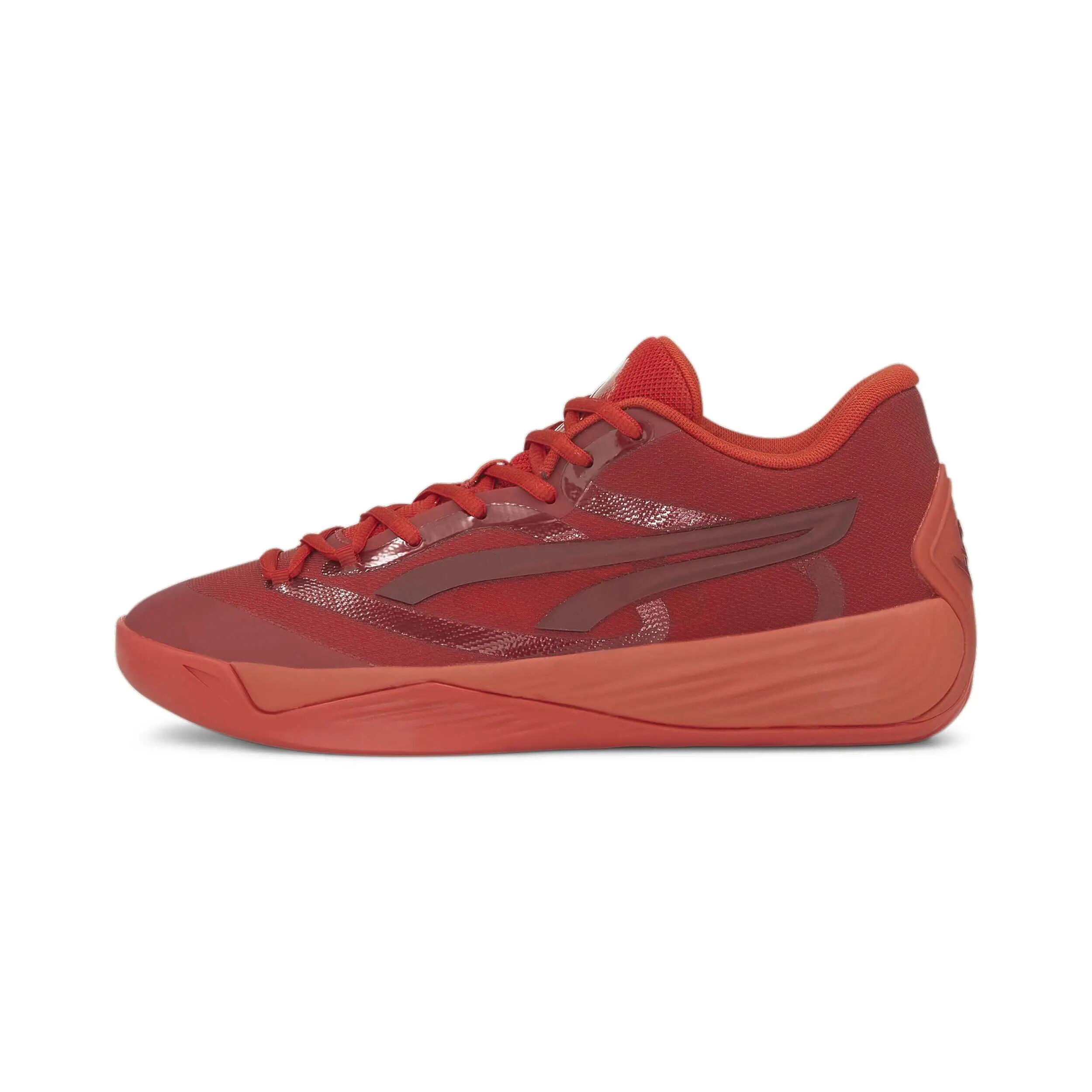 PUMA picture