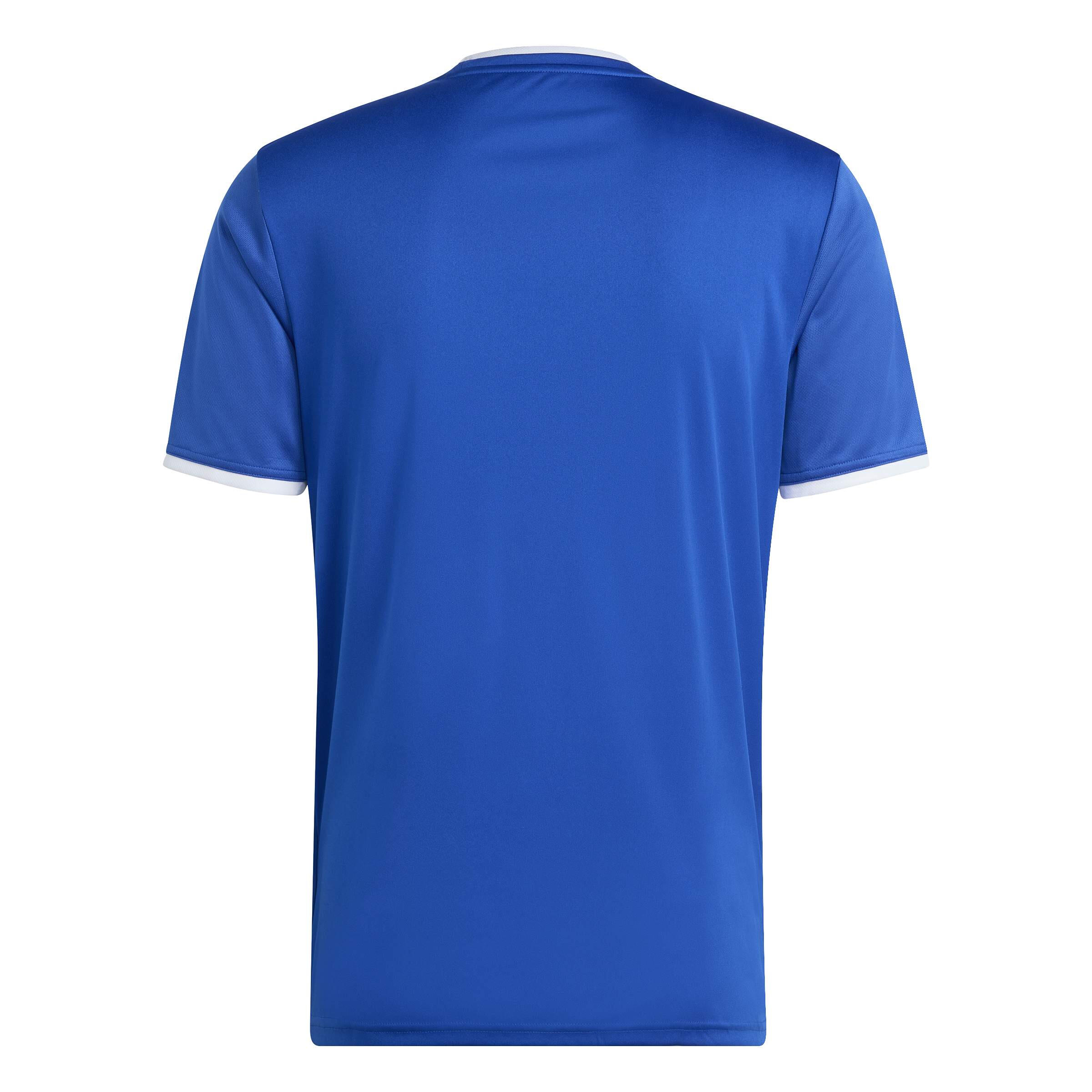 Trikot adidas Entrada26 Graphic 3/7
