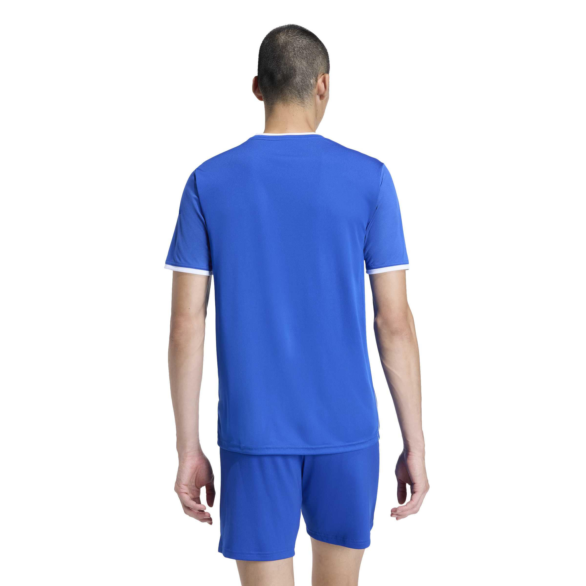 Trikot adidas Entrada26 Graphic 4/7