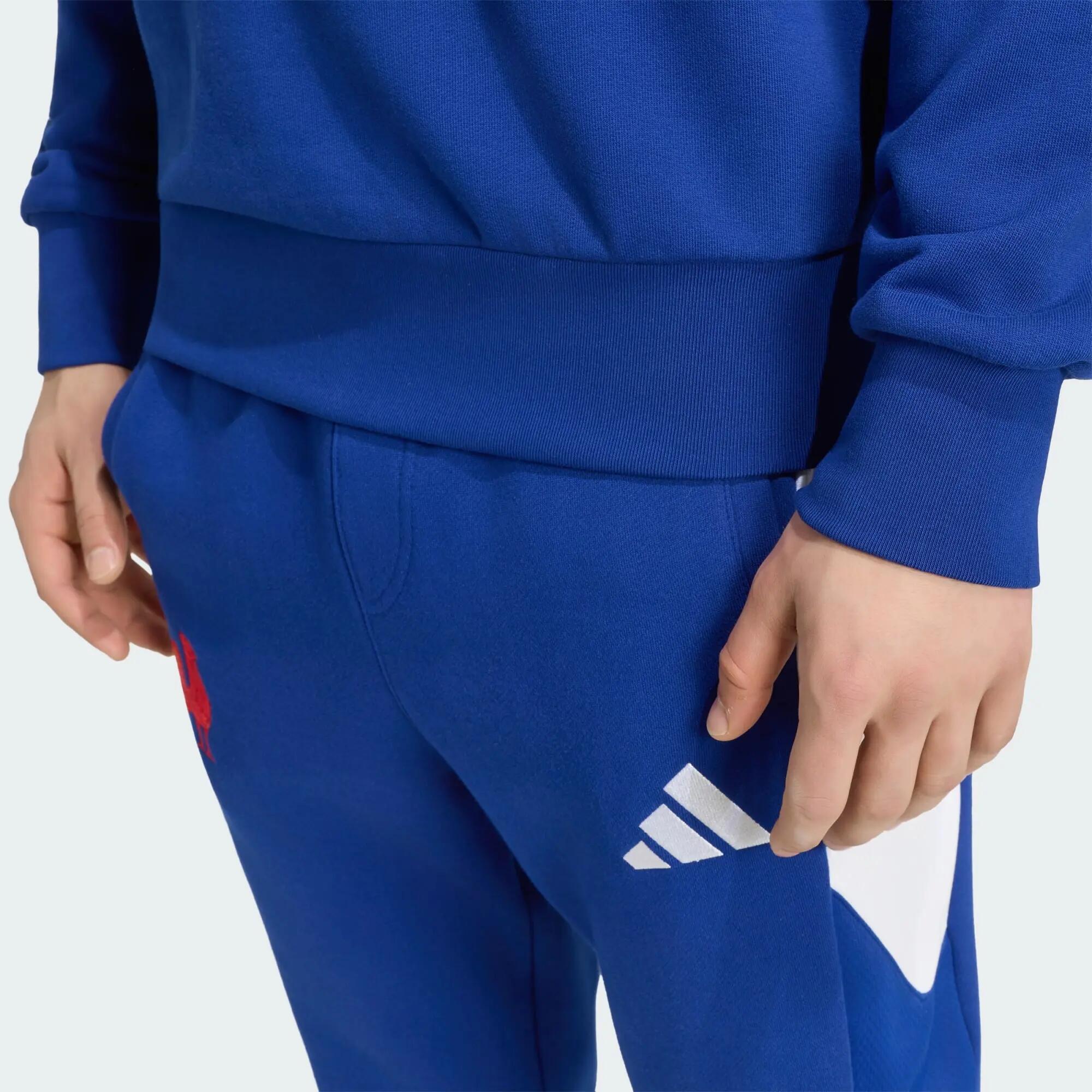 Bluza z krótkim suwakiem Francja Rugby Travel 5/5
