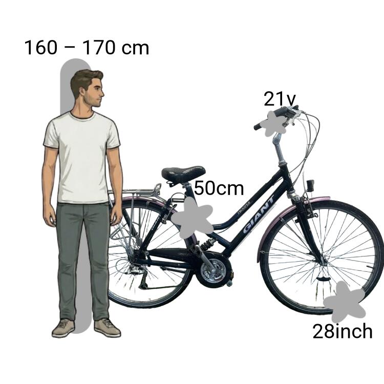 Bicicleta usada Giant Trooper 2/4
