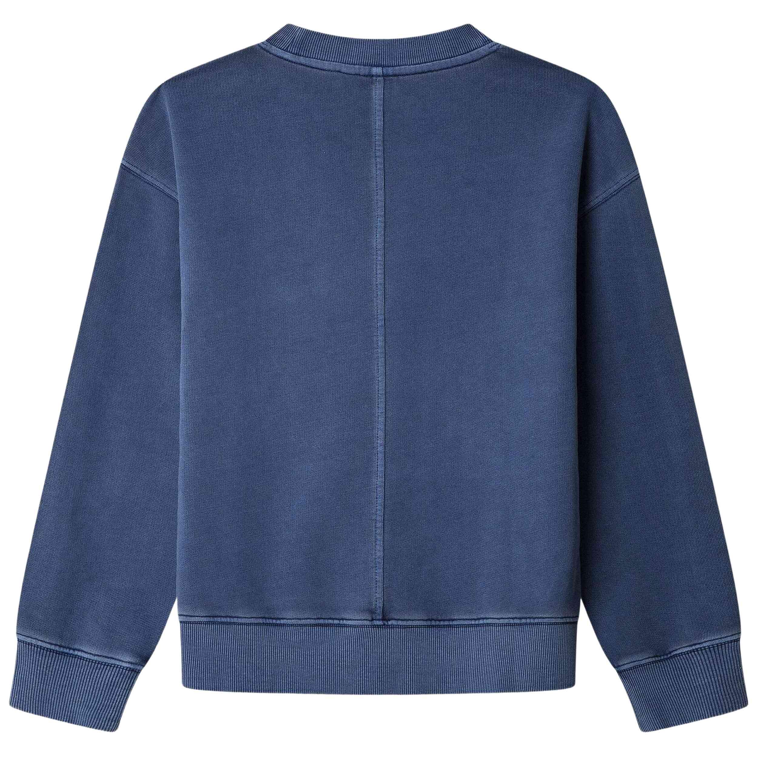 Sweater Pepe jeans model PB5800071-549 voor jongens 3/5