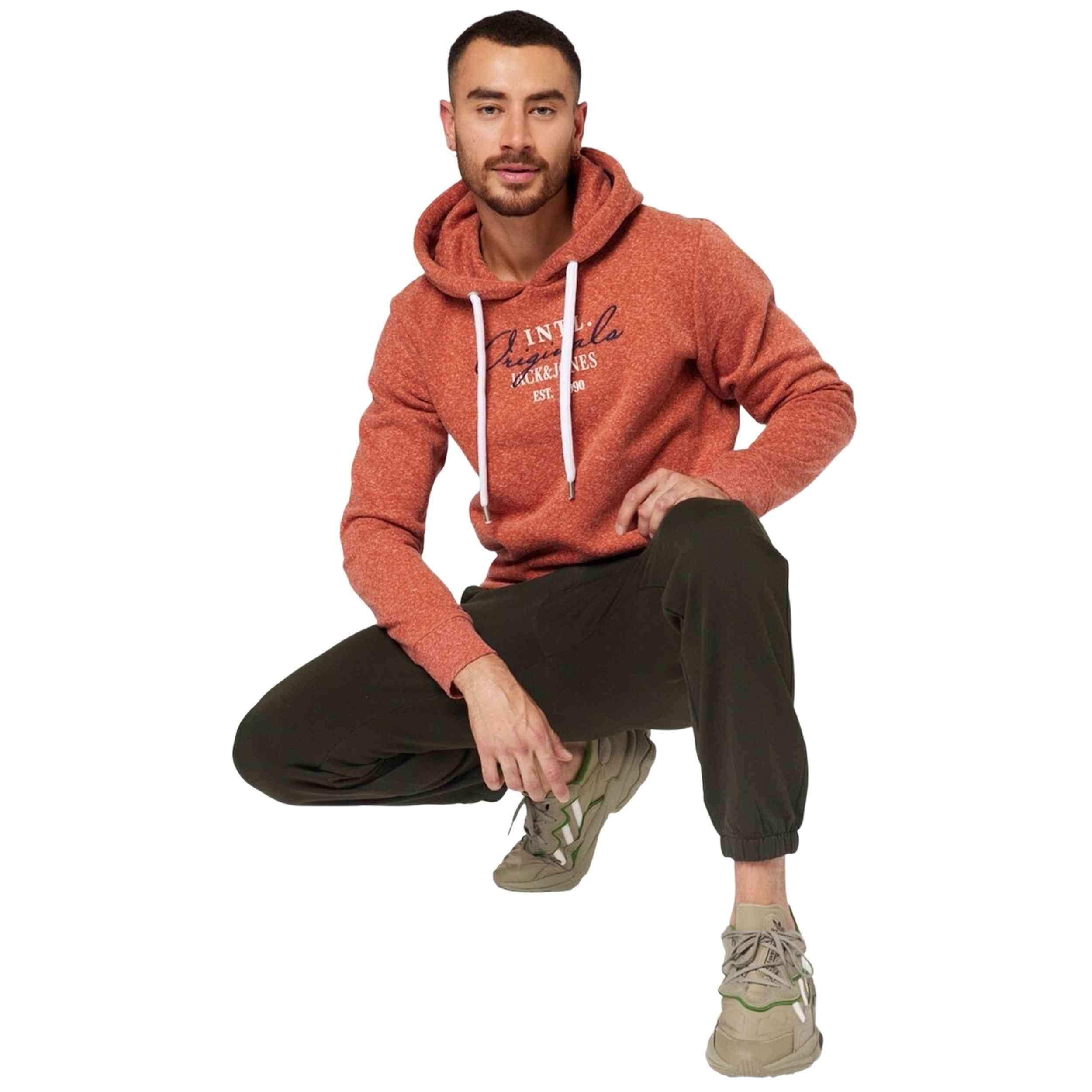 Felpa con cappuccio Jack&jones modello JORWILLOWBRANDING SWEAT HOOD per uomini 5/5