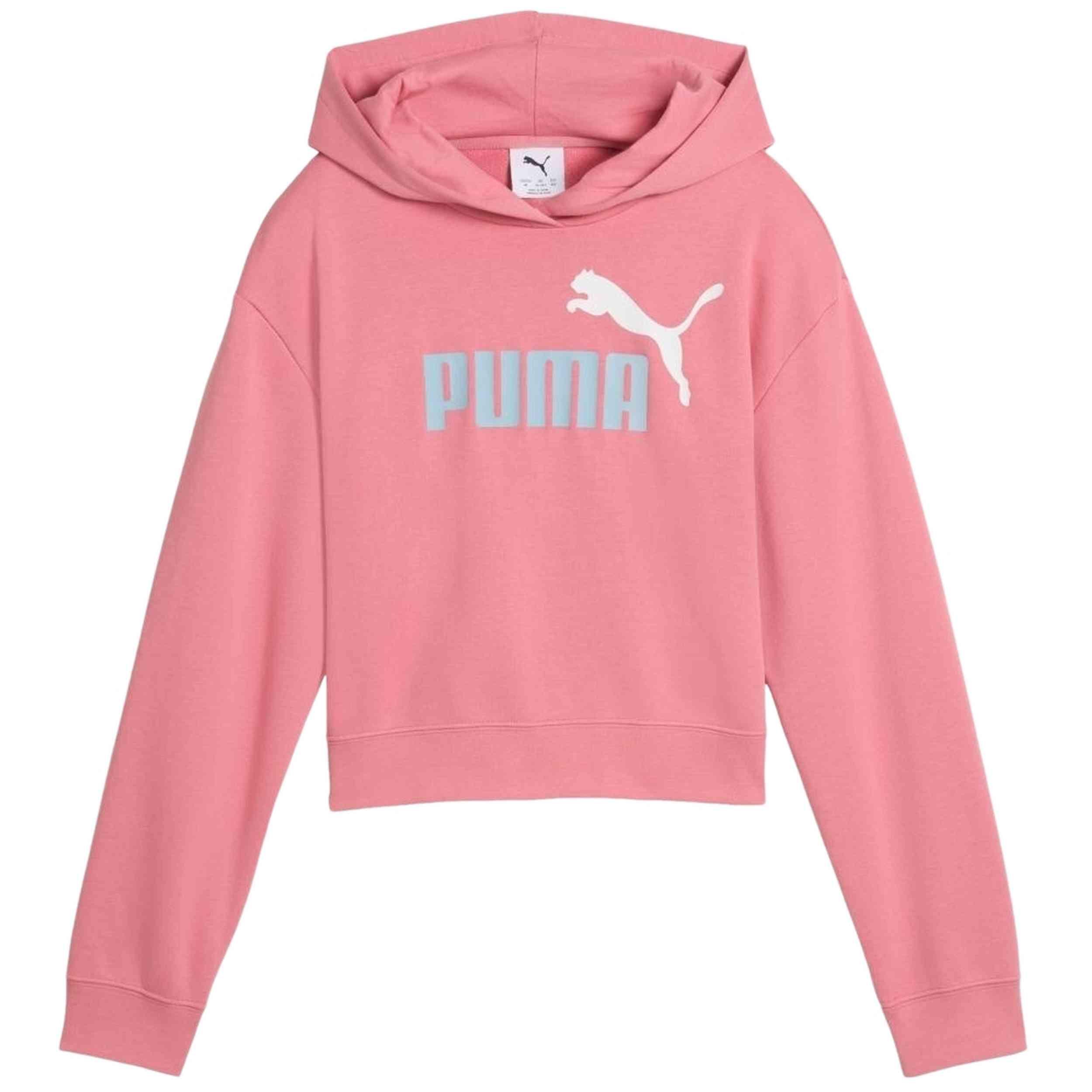 PUMA picture