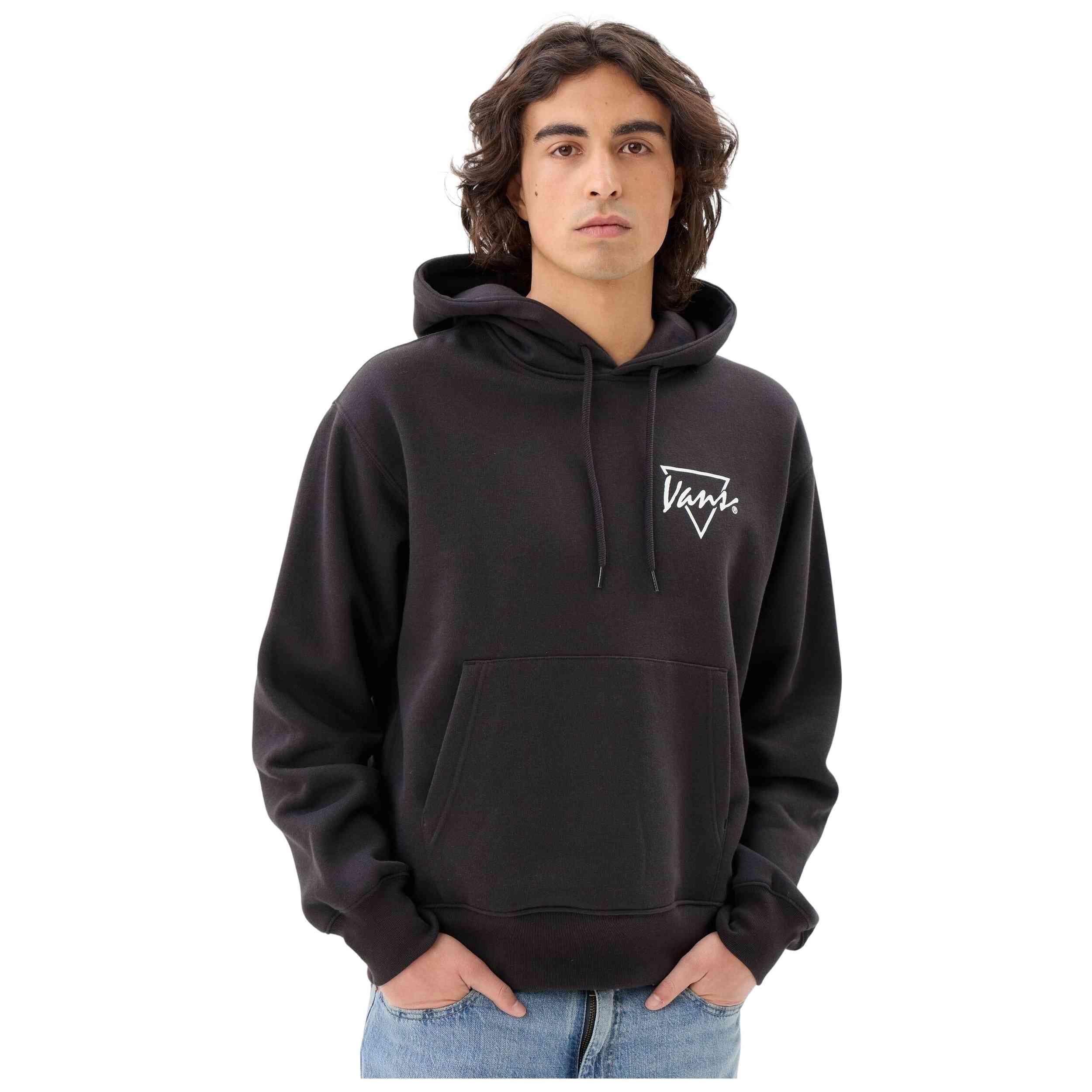 VANS picture